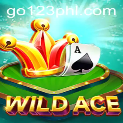 WildAce: The Adventurous Card Game Taking the World by Storm